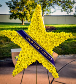 The designation of the “Gold Star” as a venerated status that no one wants.  For nearly 100 years, inclusion has been earned for losing an immediate family member serving  in the Armed Force of the United States.
