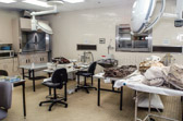Depending on the amount and condition of recovered remains, the CIL's staff of forensic anthropologists first produce a biological profile from recovered skeletal remains that includes sex, race, age at death, and height of the individual. Anthropologists may also analyze trauma caused at or near the time of death and pathological conditions of bone such as arthritis or previous healed breaks.