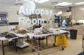 This anthropological procedure is carried out 'blind.' The forensic anthropologist assigned the case in the laboratory is not the individual who completed the recovery in the field. This anthropologist does not know the suspected identity or details of the loss incident. This prevents any bias from influencing the scientist's analysis.