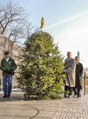 This year’s tree was donated by Roland Elliott and his family, from New London, Pa. The Elliotts have donated a live Christmas tree for the ceremony for the past six years.