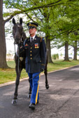 Officers in the rank of colonel and above in the Army and the Marine Corps may be provided a caparisoned (rider less) horse, if available.