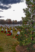 The tree was adorned with many personal messages from family and friends.