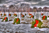 PJH_7285.jpg