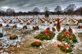 PJH_7296.jpg