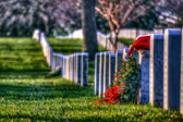WAA is committed to teaching younger generations about the value of their freedoms, and the importance of honoring those who sacrificed so much to protect those freedoms. We offer learning tools, interactive media projects, and opportunities for youth groups to participate in our events. We also work to create opportunities to connect “the Greatest Generation” with the “Generation of Hope”. The inspirational stories of our World War II Veterans must be passed on to the leaders of the future.