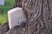 PJH_4411.jpg