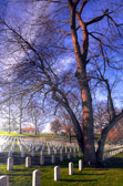 PJH_4417.jpg