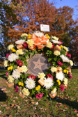 PJH_2195.jpg