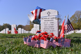 PJH_2318.jpg