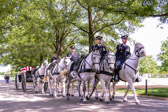 The silence of the procession is broken only by the rhythmic clip-clop of the seven handsome horses. Astride four of the horses, Soldiers sit ramrod straight. The horses, head erect, bodies taut and controlled, seem to imitate the solemn military bearing of the men and women who sit quietly in the saddles.<br /><br />Six of the horses pull a flag draped casket on a black artillery caisson. Both Soldiers and horses are conscious that this is no ordinary ride through a cool, shady country lane. They have the honor of carrying a comrade for his last ride to Arlington National Cemetery, where he will rest in peace with other honored dead.