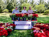 Memorial Day Flowers at Arlington National Cemetery<br />http://memorialdayflowers.org/