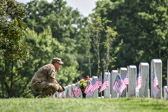 PJH_3159.jpg