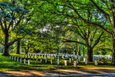PJH_6258_p4.jpg