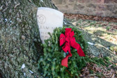 PJH_6896.jpg