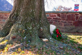 PJH_6898.jpg