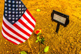 Sfc. David Stewart Boyd, Vietnam KIA 11/14/1966<br /><br />Sergeant First Class David Stewart Boyd was a casualty of the Vietnam War. As a member of the Army, SFC Boyd served our country until November 14th, 1966 in South Vietnam. He was 33 years old and was married. It was reported that David died from small arms fire. His body was recovered. David was born on August 19th, 1933 in Mount Vernon, New York. SFC Boyd is on panel 12E, line 070 of the Vietnam Memorial Wall in Washington D.C. He served our country for 14 years.