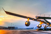 A dignified transfer is the process by which, upon the return from the theater of operations to the United States, the remains of fallen military members are transferred from the aircraft to a waiting vehicle and then to the port mortuary. The dignified transfer is not a ceremony; rather, it is a solemn movement of the transfer case by a carry team of military personnel from the fallen member's respective service. A dignified transfer is conducted for every U.S. military member who dies in the theater of operation while in the service of their country. A senior ranking officer of the fallen member's service presides over each dignified transfer.