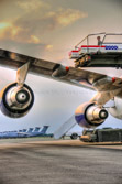 PJH_2232.jpg