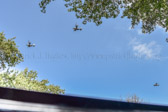 Marine fly over tribute ceremony