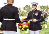 PJH_1582.jpg