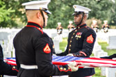 PJH_1592.jpg