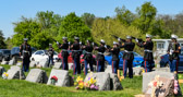 Rifle Salute