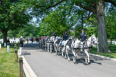 Fort Myer caisson team