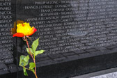 PJH_3127.jpg
