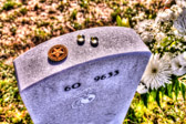 PJH_3722.jpg