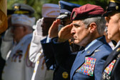 _PJH9574.jpg