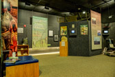 PJH_6127.jpg