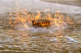Standing the test of time and wind, dark and light, the ceremonial flame is an eternal tribute to the strength and sacrifice of veterans. Breaking through the surface of the dark fountain, the flame reminds us of how light rises from dark.