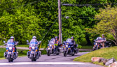 PJH_6386.jpg