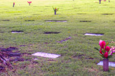 PJH_5159.jpg