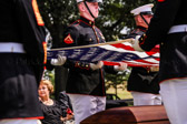 PJH_3434.jpg