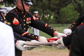 PJH_3471.jpg