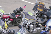 PJH_0348a.jpg