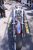 PJH_8260.jpg