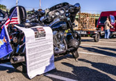 PJH_3217a.jpg