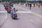PJH_3536.jpg