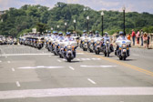PJH_3599.jpg