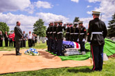 PJH_7590.jpg