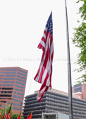 PJH_6308.jpg