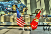 The National Museum of the Marine Corps is a lasting tribute to U.S. Marines--past, present, and future. Situated on a 135-acre site adjacent to Marine Corps Base Quantico, Virginia, and under the command of Marine Corps University.<br /><br />It's 120,000-square-foot structure. World-class interactive exhibits using the most innovative technology surround visitors with irreplaceable artifacts and immerse them in the sights and sounds of Marines in action. Admission and parking are always free.