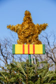 This year’s tree was donated by Roland Elliott and his family, from New London, Pa. The Elliotts have donated a live Christmas tree for the ceremony for the past six years.