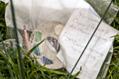 'In Memory' Day commemorates annually America's concern for all American veterans, but particularly those who have faced daily difficulties caused by their service, and who have had their lives shortened prematurely. This is the least we can do for our veterans.