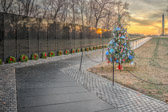 Maya Lin conceived her design as creating a park within a park — a quiet protected place unto itself, yet harmonious with the overall plan of Constitution Gardens. To achieve this effect she chose polished black granite for the walls. Its mirror-like surface reflects the images of the surrounding trees, lawns, and monuments.
