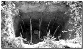 The Viet Cong were frequently unable to hold their own in stand-up fights against the Americans. So, they relied on guerrilla warfare tactics including hit-and-run attacks, ambushes, and booby traps. The Viet Cong were skilled at hiding booby traps in the varied terrain of Vietnam, often placing them in totally unexpected locations. Booby traps could be made in large numbers and be of simple design using primitive materials such as pointed sticks or more complex using modern explosives.